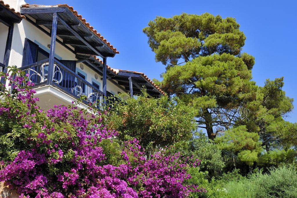 Adrina Beach Hotel Panormos  Eksteriør bilde